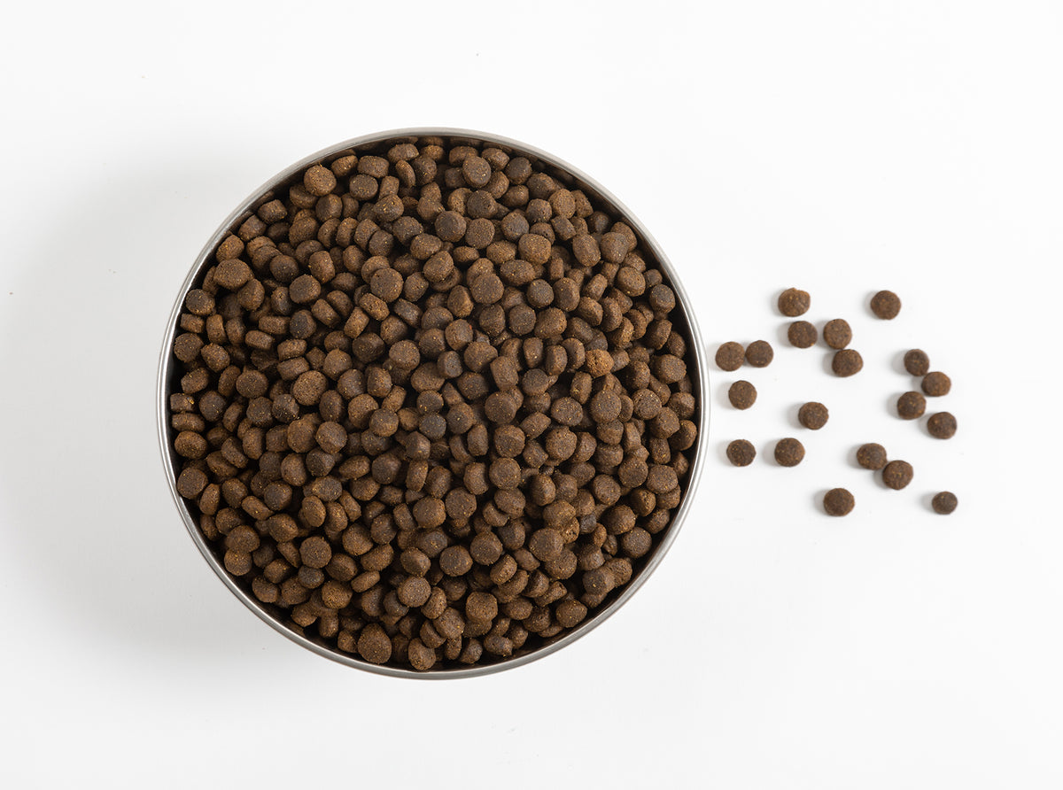 Fresh Ocean Fish Recipe Dog Food 15lb Riplees Ranch Pet Food