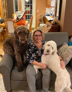 Meet The Doodles - Dog Success Story