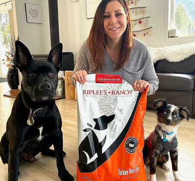 Hunter & Nyxon - Dogs Success Story