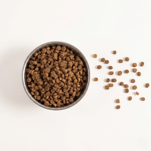 Chicken Recipe kibble bowl