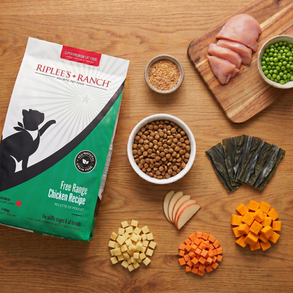 chicken recipe flatlay with bag