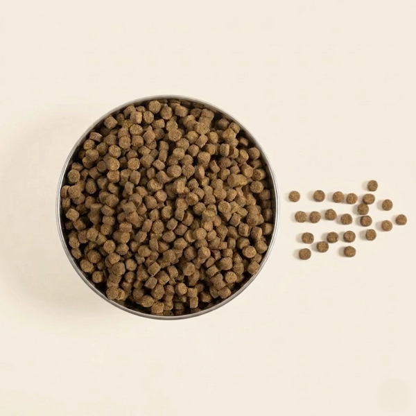 Fresh Ocean Fish kibble in bowl