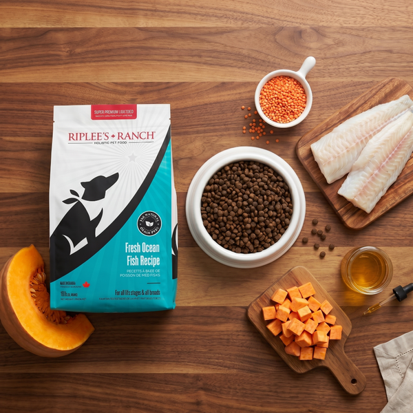 fresh ocean fish recipe flatlay with bag