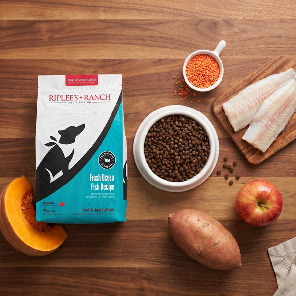 fresh ocean fish recipe flatlay with bag