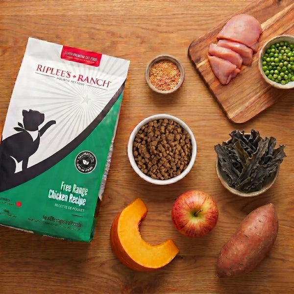 chicken recipe flatlay with bag