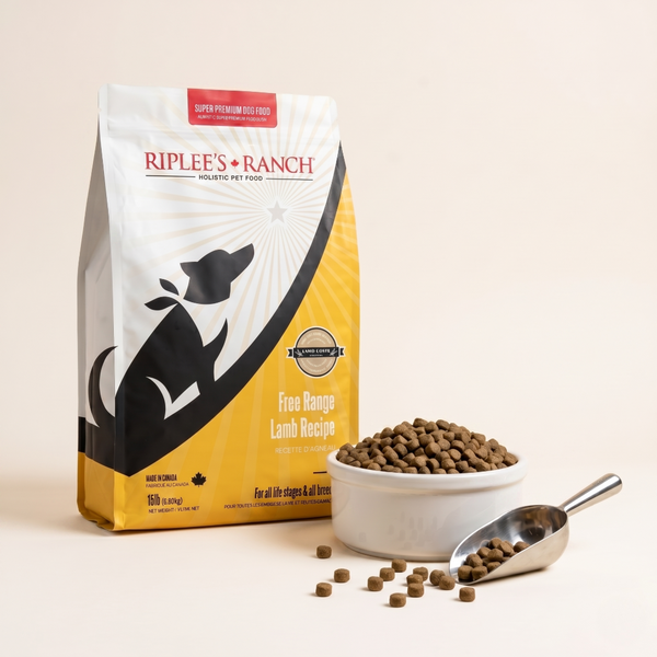 Lamb & Oats kibble packshot