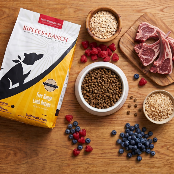 lamb and oats recipe flatlay with bag