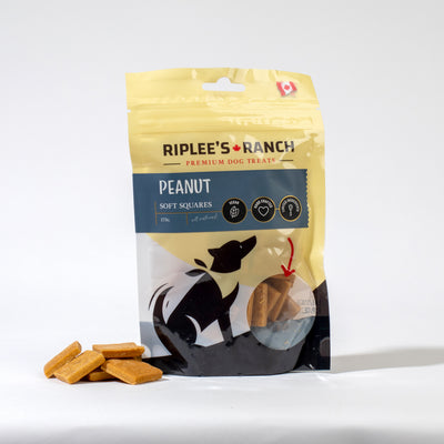 Peanut - Soft Square - Dog Treats