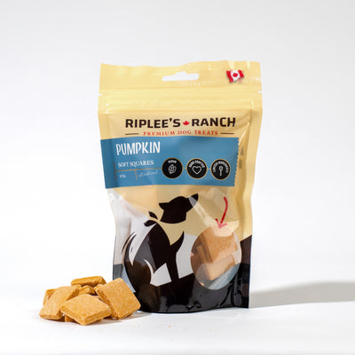 Pumpkin - Soft Square - Dog Treats