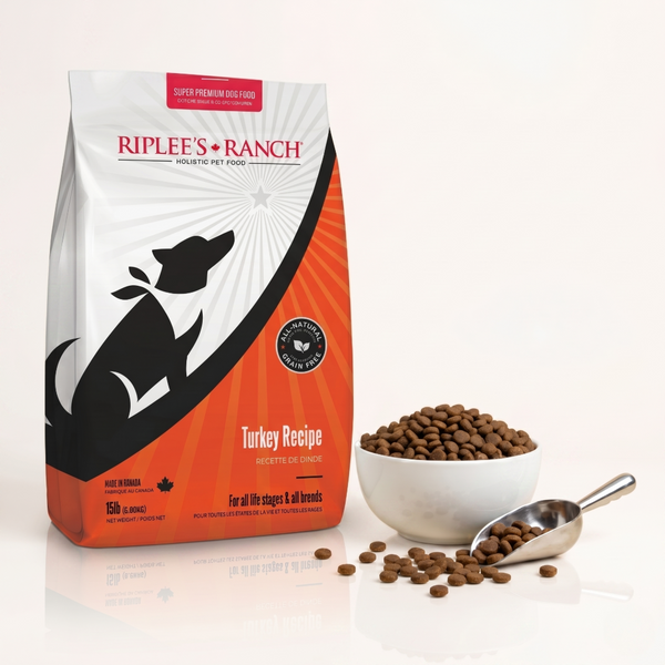 Turkey Recipe kibble packshot
