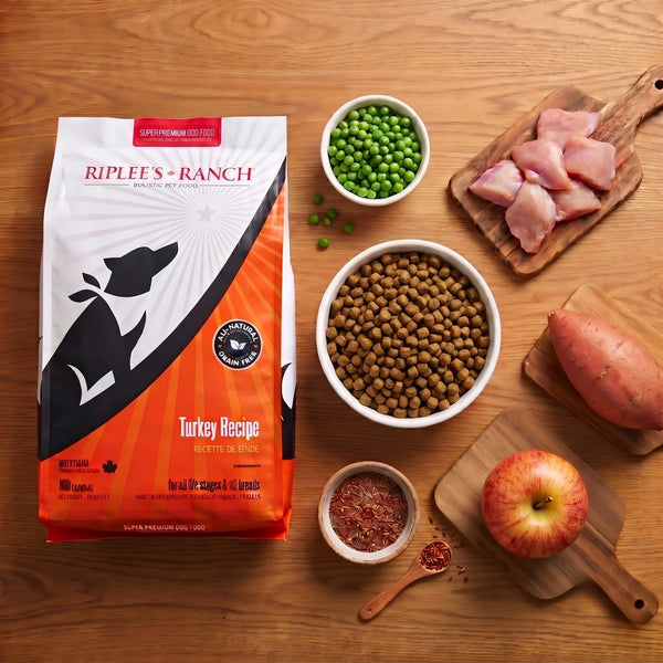 turkey recipe flatlay with bag