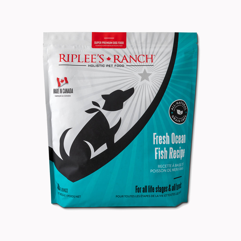 Fresh Ocean Fish Recipe Dog Food 4lb